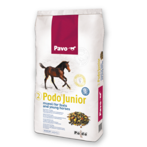 Pavo Podo Junior